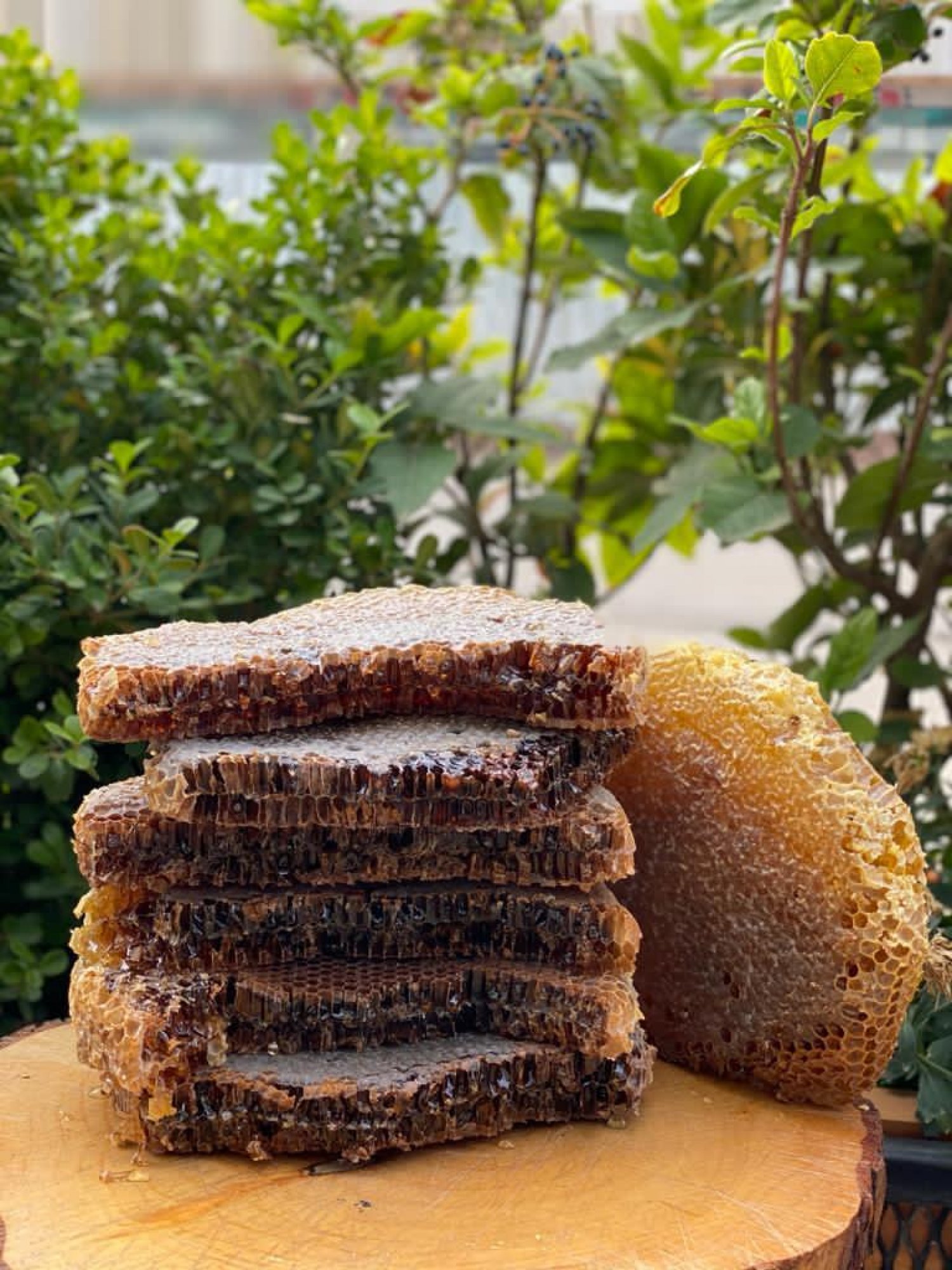 Karakovan Petek Bal 5I9O